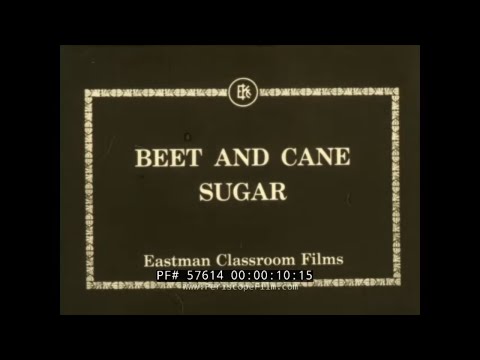 “ BEET AND CANE SUGAR ” PROCESSING & REFINING SUGAR  1930s EASTMAN CLASSROOM EDUCATIONAL FILM 57614