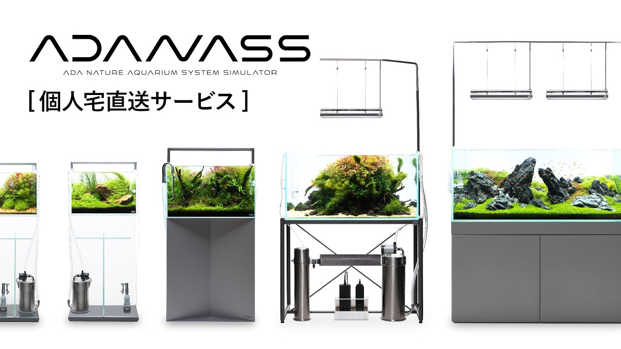 [ADAview] アダナス(ADANASS)操作ガイド - 個人宅直送サービス