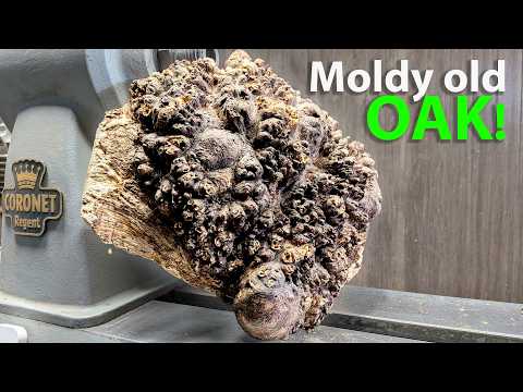 ROTTEN to the CORE? -  Turning a Decaying Oak Burl on the lathe