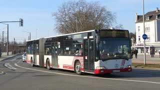 preview picture of video '[Sound] Bus Mercedes O 530 G (DU-DV 3022) der Fa Franz Urban GmbH, Gladbeck (Kreis Recklinghausen)'