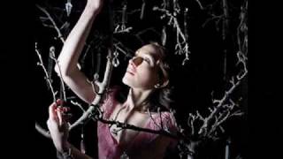My brightest diamond - Something of an end (traducida)