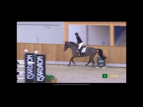 Casalitha (2011, Casall x Landos)