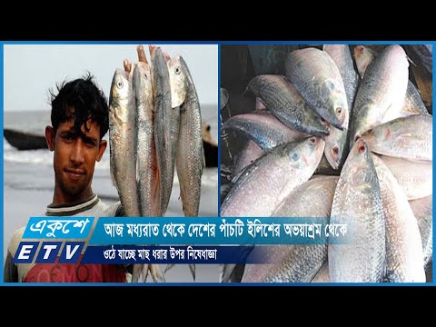 আজ মধ্যরাত থেকে দেশের পাঁচটি ইলিশের অভয়াশ্রম থেকে ওঠে যাচ্ছে মাছ ধরার উপর নিষেধাজ্ঞা | ETV News