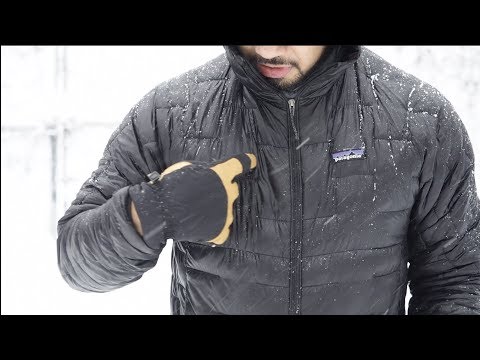 The Patagonia Micro Puff Hoody