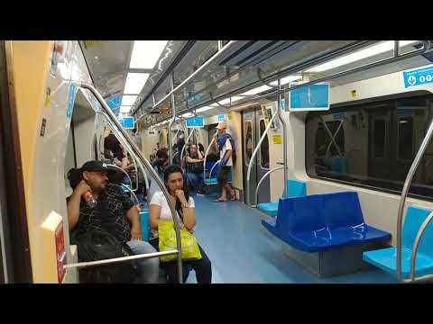 Trecho entre Parada Inglesa e Tucuruvi no TUE Frota J44 - Linha 1 Azul