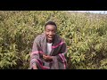 Kalenjin Musicians Have Done It Again THEY ARE NOW TALKING IN ENGLISH