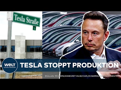TESLA UNTER DRUCK: Autobauer setzt Produktion in Gigafactory in Grünheide aus! – Das steckt dahinter