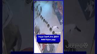 كاميرات مراقبة توثق لحظات رعب عاشتها القطط في مأوى ببيروت إثر خرق جدار الصوت thumbnail