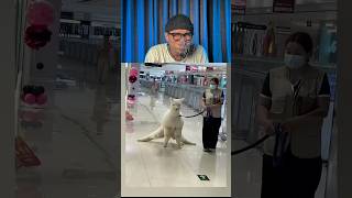 Try Not To Laugh Challenge 1170 🤣 #funny #shorts #viralvideo