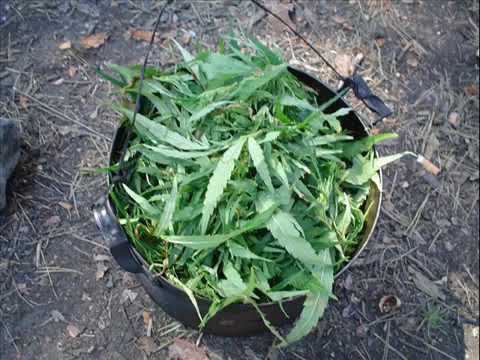 2Pac - "Niggaz Nature" Snoop Dogg 50 Cent Remix (Official Video) HD