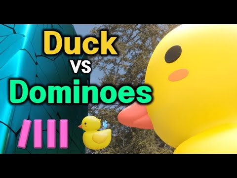 Duck VS Dominos | Who will win the match between the duck and the domino?