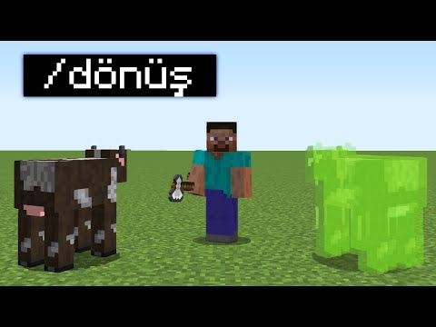 minecraft hayvan saklambacı AMA hile ile TROLLEDİM!