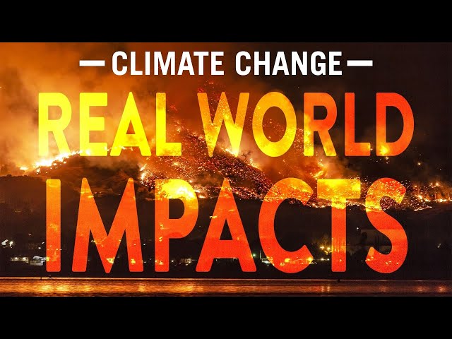 Chapter 5: Real World Impacts