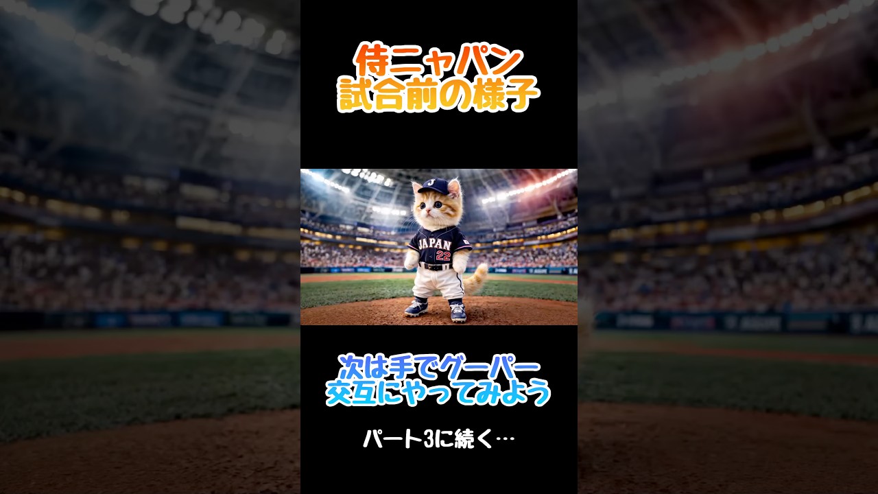 侍ニャパンの様子2 #猫のいる暮らし #癒し #wbc #侍ジャパン
