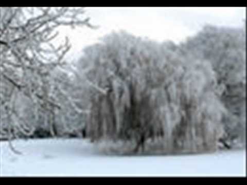 Impressionen von Kiel, Volker Bengl, Ein Traum