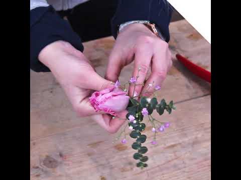 download lagu mp3 mp4 Corsage Tulip, download lagu Corsage Tulip gratis, unduh video klip Corsage Tulip