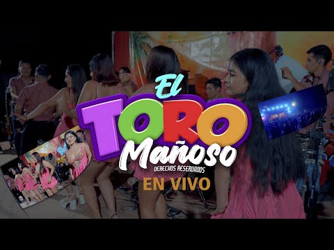 Andinos del Perú - El Toro Mañoso (Sanjuanito)  En vivo Olmos