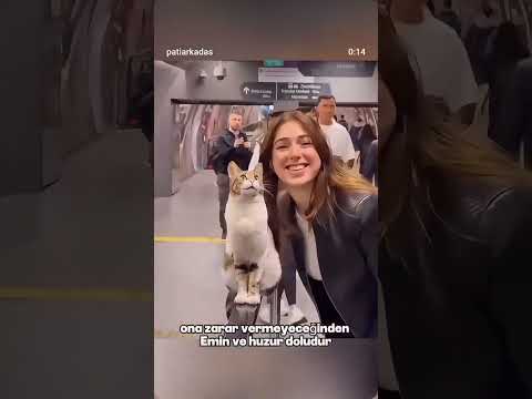 teşekkürler İstanbul ❤️