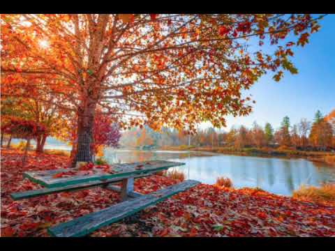 Polej bracie pole - Masters feat Racisova 8d