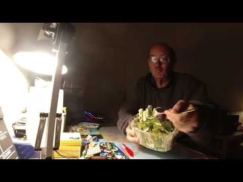 MongoTV_10293 - God LØRDAG AFTEN