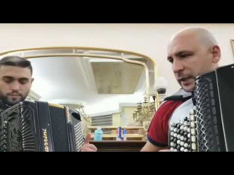 Aca Nikolić Čergar & David Nikolić Čergar - Pesma slavuja od Mirka Kodića