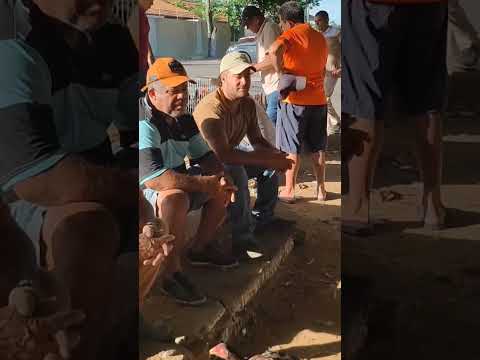 feira de galinhas em palmeira dos índios Alagoas