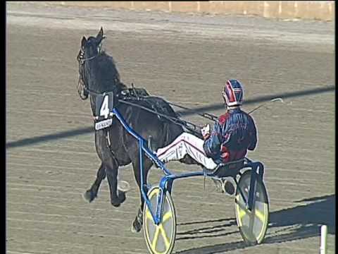 Trotto 26/03/2017 - 6ª corsa