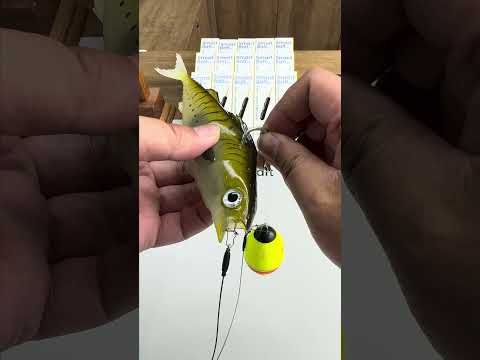 Kanama Smart Bait - Revive a dead fish… or revive a soft bait?
