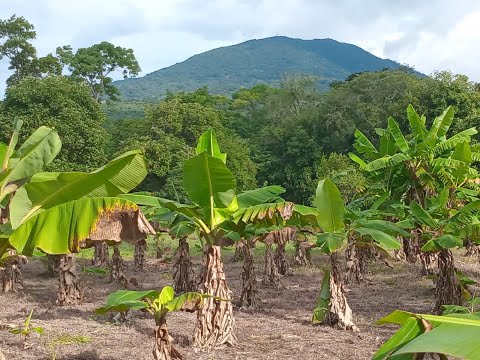 A Self-Sustaining Haven just minutes from Granada, Nicaragua
