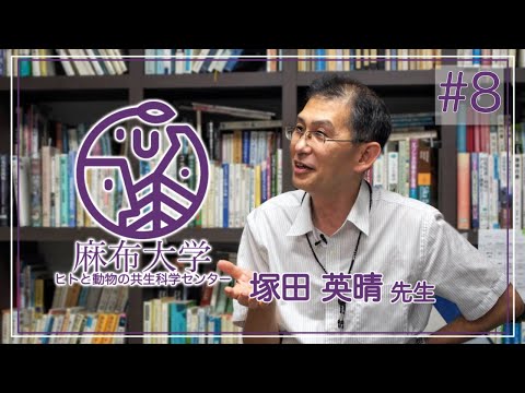 都市ダヌキの寄生虫感染リスク評価と感染源対策〜トキソカラ症に注目して