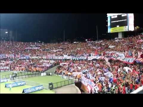 "DIM Vs tolima Octavos de Final Copa Colombia REXIXTENXIA NORTE" Barra: Rexixtenxia Norte • Club: Independiente Medellín