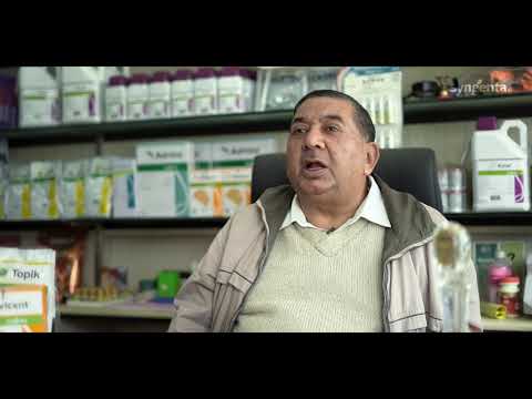 Syngenta RISQ Test | Grower Testimonial | Moga | Punjab