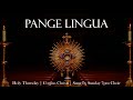 Pange Lingua | Catholic Hymn & Chant | Holy Thursday/Corpus Christi | Latin (w/ English translation)