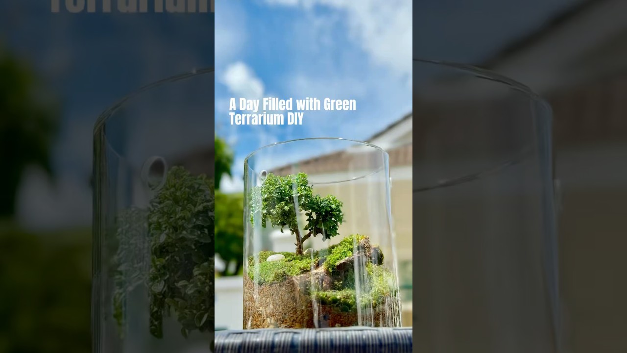 “A Day Filled with Green: Terrarium DIY”