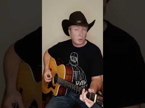 What I Didnt Do - Steve Wariner