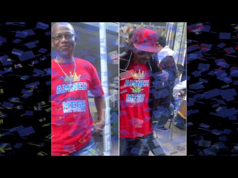 AMNEH MEGH MIXTAPE: A NO WAN GO - KETS FAYA (GYPTIAN NAH LET GO)