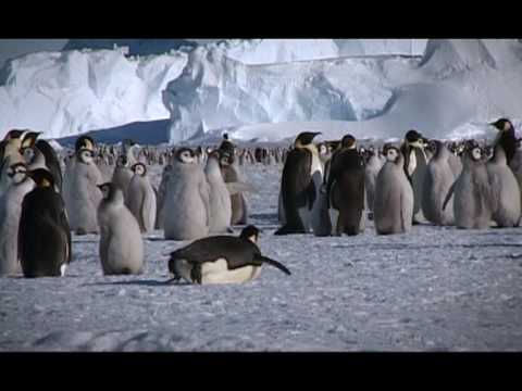 Le trou dans la couche d’ozone video