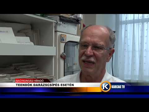 TEENDŐK DARÁZSCSÍPÉS ESETÉN