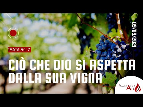 Culto di giovedì 9 settembre 2021; Isaia 5:1-7 "Ciò che Dio si aspetta dalla Sua Vigna"