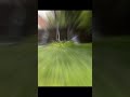 Major Overgrown Entire Lawn Makeover In 60 Seconds