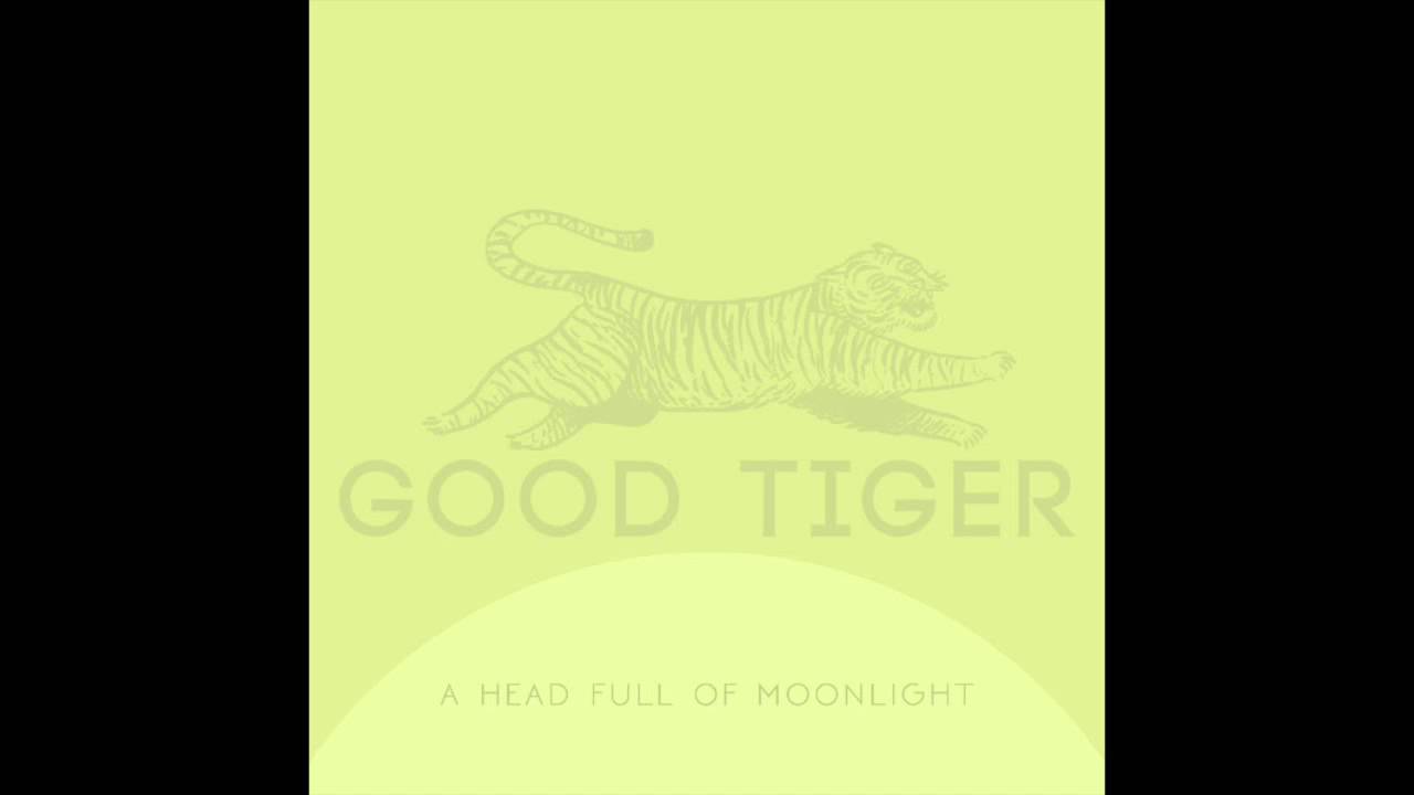 Good Tiger - Aspirations - YouTube