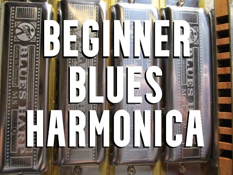 Beginner Blues Harmonica Lessons In 4 Keys By Scott Grove