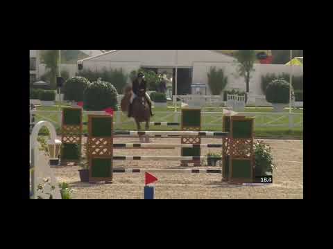 Super results for Eurohorse Riders at CSI5/3/2/1/yh1* Knokke