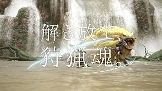 Monster Hunter Rise [Hunting Friend Double Pack] video 1