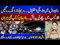 Grand Welcome To CM Punjab Maryam Nawaz In Sahiwal Shocking Name Of New Born Baby Dunya News