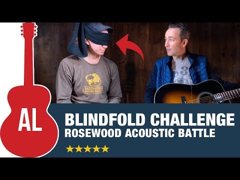 Blindfold Challenge (Gibson vs Martin vs Taylor vs Guild vs Yamaha vs Eastman)