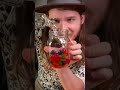 I Left Fruit Gushers In Rum For A Week