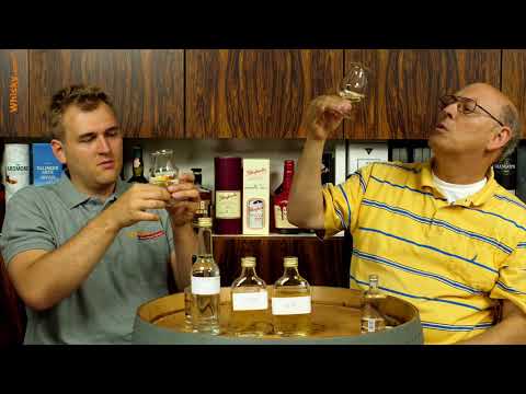 Whisky Vision TV - Tasting after 254 days
