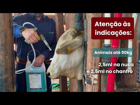 Modo de Aplicação do Ferappease – Corte