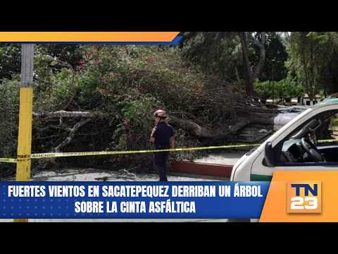 Fuertes vientos en Sacatepequez derriban un árbol sobre la cinta asfáltica